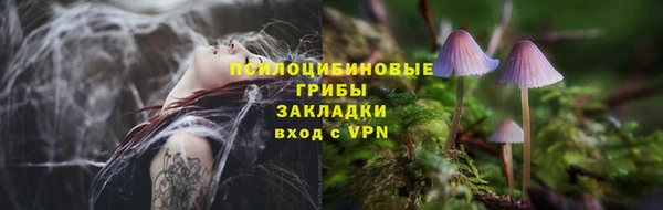 СК Краснослободск