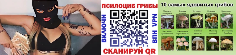 Галлюциногенные грибы мицелий  Сураж 